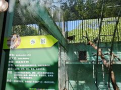 -宁波野生动物园