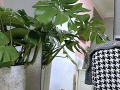 -暖阳宠物医院·犬猫康复中心·骨科