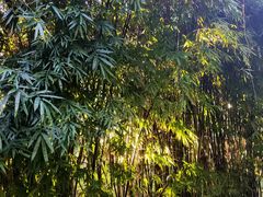 -贵阳市花溪国家城市湿地公园