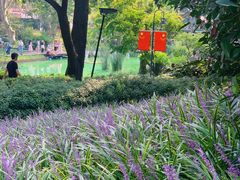 -静安公园(静安寺街道)