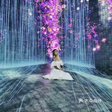 魔都看展|teamlab一部手机出大片的展览