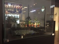 -sugarman espresso素饮糖人高新咖啡工厂