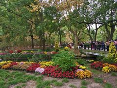 -上海共青森林公园