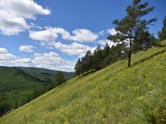 -莫尔道嘎国家森林公园