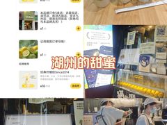 -猫的魔法密林(衣裳街店)