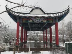 -金城公园
