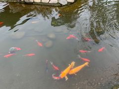 -成飞公园