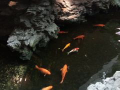 -白天鹅宾馆-宏图府餐厅