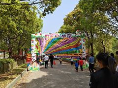 -上海都市菜园