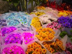 -朝来春花卉市场
