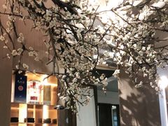 -梅花境(万科店)