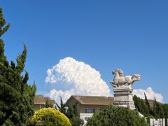 -养马岛旅游度假区