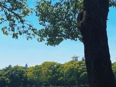 -渤公岛生态公园