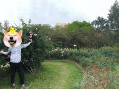 -人民公园(罗湖区)