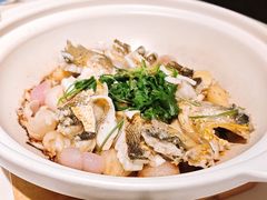 -食廬(浦东嘉里城店)