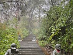 -云顶山风景区