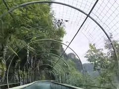 -南江大峡谷