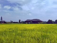 -中国天府农业博览园