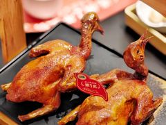 -羽鸽集·乳鸽专门店·地道顺德菜(岭南站店)