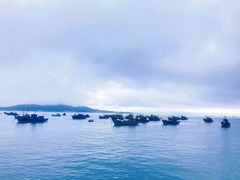 -海源公园