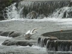 水景5-平乐古镇