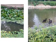 -长白岛森林公园