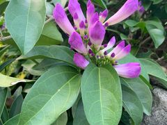 -广东中医药博物馆
