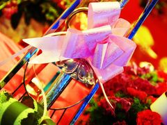 DSC_9528-苏州嘉盛丽廷国际酒店