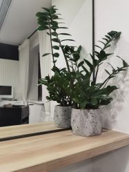 -Garden花園造型