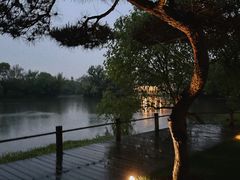 -新荣记(西溪湿地店)