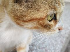 -金砂公园