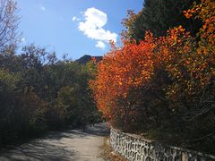 -北京鹫峰国家森林公园