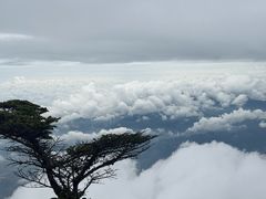 -峨眉山风景名胜区