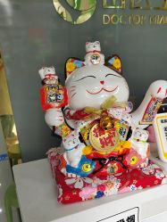 -苗医生专业祛痘·皮肤管理