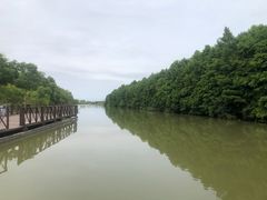 -东滩湿地公园观海楼餐厅