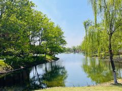 -贡湖湾湿地公园