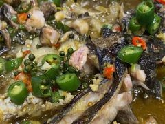 -鱼酷活鱼烤鱼(沈阳大悦城店)