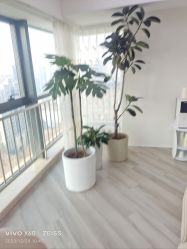 -HEYAN荷妍专业脱毛连锁机构