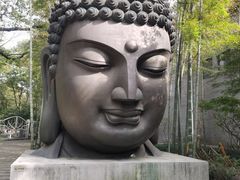 -杭州植物园