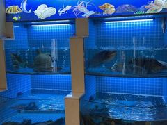 -外婆湾土菜馆(桂乡大道店)
