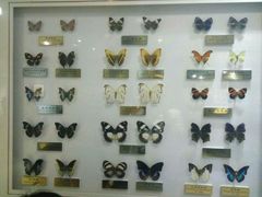 -上海昆虫博物馆