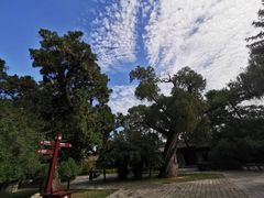 -黄帝陵