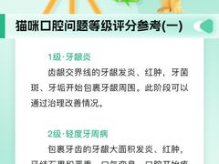 -瑞派申生动物医院·24H夜诊·国际动物医疗中心·骨外科(吴中路店)