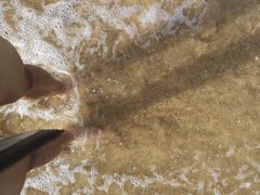 -西涌国际滨海旅游区