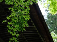 -三千院