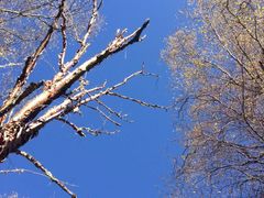 -叠溪松坪沟景区