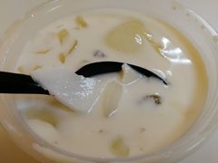 -志龙皇冠吃货椰子铺