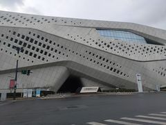 -南京国际青年文化中心
