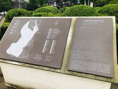 -张醪糟