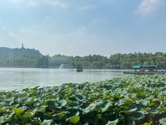 -湖畔居茶楼(湖滨店)